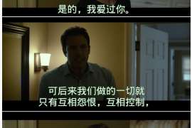 茶陵侦探公司